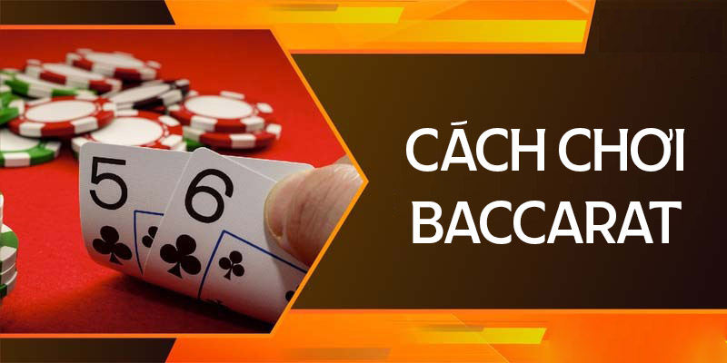 Hướng dẫn chơi Baccarat cơ bản dành cho người mới 